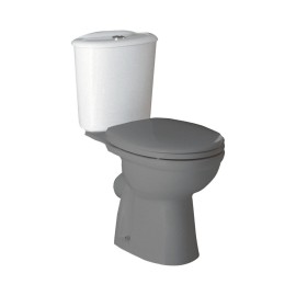 Cassetta con meccanismo per vaso monoblocco - serie fiore Rak Ceramics SCACAS0014CA