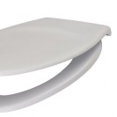 Coperchio sedile per wc president in duroplast Goman D0950/01