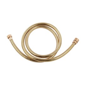 Flessibile doccia in pvc trasparente - dorato RR 332CNDR
