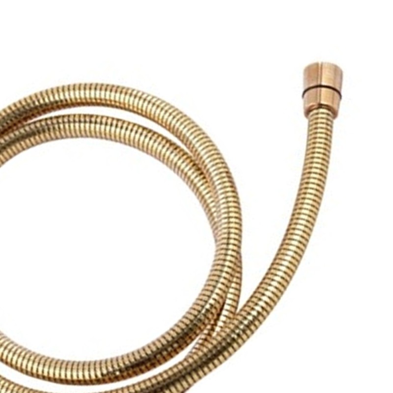 Flessibile doccia in pvc trasparente - dorato RR 332CNDR