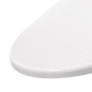 Sedile con cerniere in acciaio inox - Serie Selnova Geberit SCACER0763SE Sedile con cerniere in acciaio inox - Serie Selnova Geberit SCACER0763SE