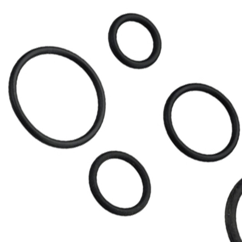 Anello oring in kit Idrobric P0665X