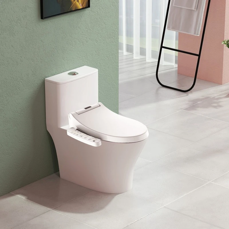 Sedile WC smart 1000 con bidet disponibile online