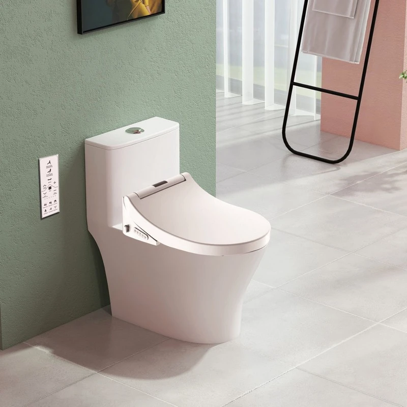 Sedile WC smart 2000 con bidet disponibile online