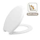 Sedile in termoindurente, chiusura rallentata soft close