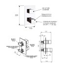 Rubinetto termostatico doccia, due posizioni su piastra unica - serie qubika thermo Remer QT92
