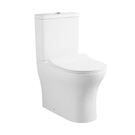 Vaso monoblocco filo muro rimless LINPH